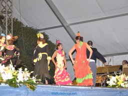 Festival de Folkore en Mula